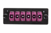 Eurolan Комплект планка с 6 адаптерами симплекс SC OM4, сплайс-кассета, монтажные шнуры, КДЗС, вводы